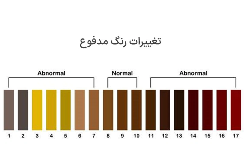 علائم میکروب معده