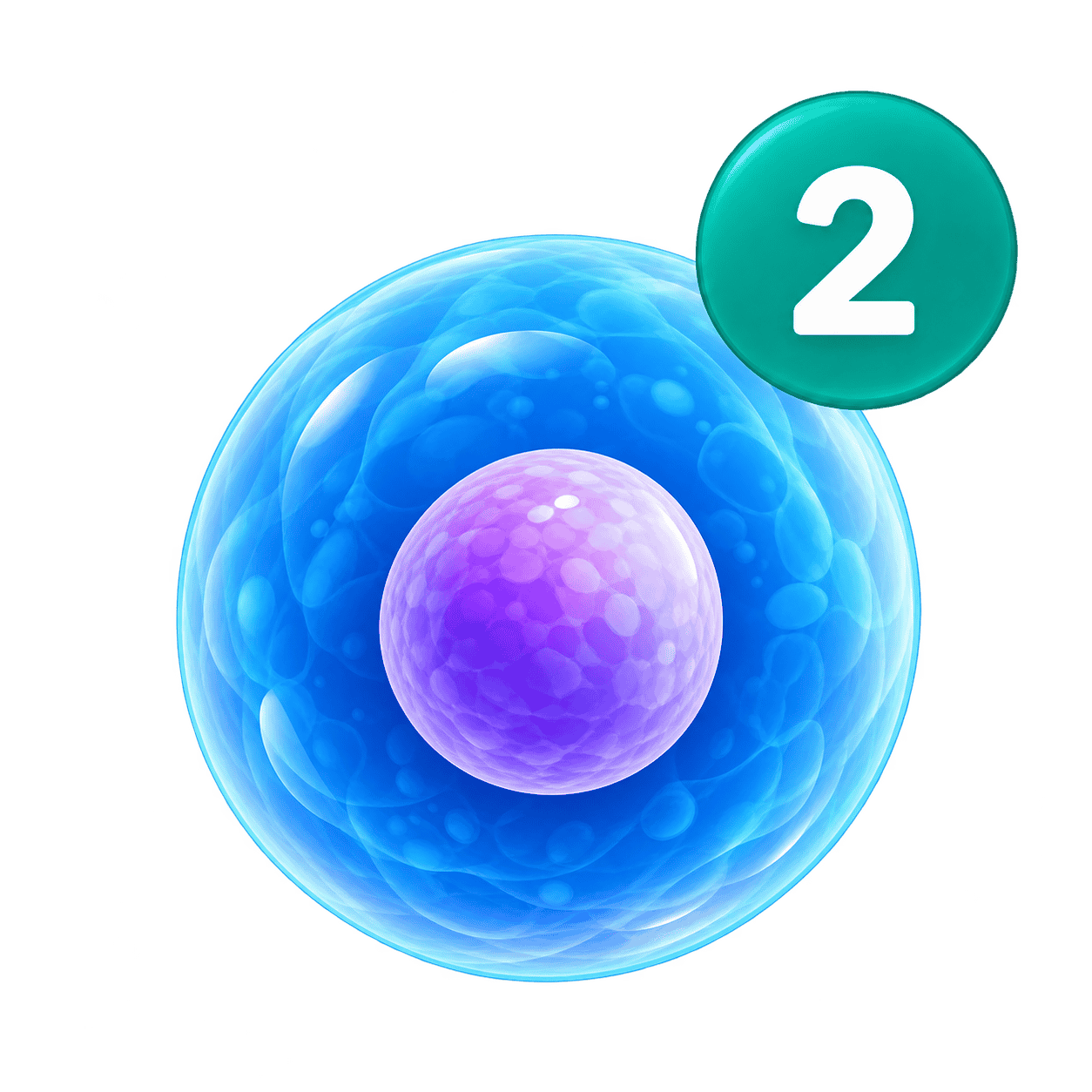 6